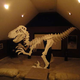 Illustration for article titled This T-Rex skeleton costume is absolutely insane